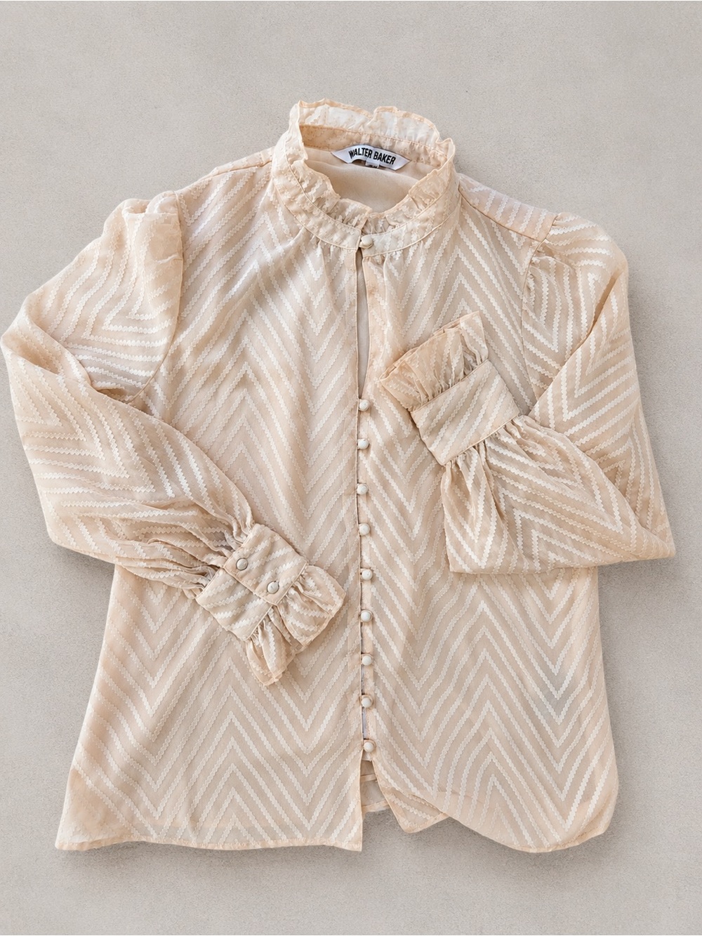 Walter Baker Blush Pink Chevron Textured Sheer Blouse Size S